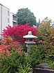 Sunhill gardens