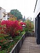 Sunhill gardens